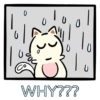 U WHY???
