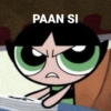 PAAN SI