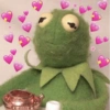 Kermit apaixonadinho  13