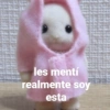 les mentí realmente soy esta