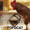 FOFOCA?