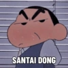 SANTAI DONG