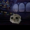 Cricetino Sad Hamster pt.2 7