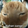 Nahan sange