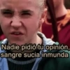 Nadie pidió tu opinión, sangre sucia inmunda