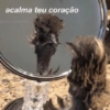 SURTOS LEVES & MEMES {😂} 29