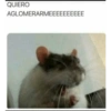 Gatos y algo mas 37