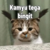Cute cat sticker 🐈 22