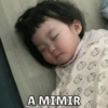 F16 A MIMIR