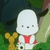 Pochacco 🐾 9