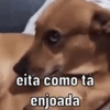 eita como tá enjoada