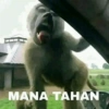MANA TAHAN