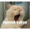 ngantuk kali ya