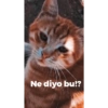 Ne diyo bu!?