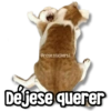 @rose.stickers1 Déjese querer