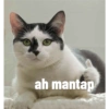 ah mantap
