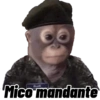 Mico mandante