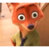 ANIMADAS 6