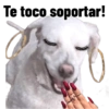 Te toco soportar!
