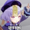 www.coppese 生 SAYA BANG