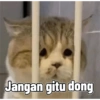 Cute cat sticker 🐈 14