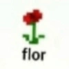 沖 flor