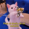 Notitas que cuidantu relacion Para el dueño de mi corazón