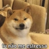 tu não me estressa