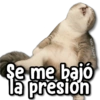 kane stickers
Se me bajó
la presion