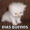 Michitos🐱💕 8