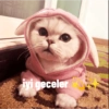Iyi geceler 💛 28