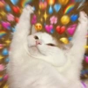ca 500