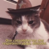 Gatitos para conquistar a tu CRUSH Que casualidad los dos respiramos jajaja, dsnudat.