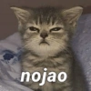 🤬💢 Mood Enojado 💢🤬 10