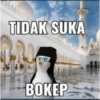 Pinguin 10