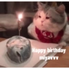 Happy birthday miyavvv