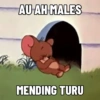 AU AH MALES
MENDING TURU