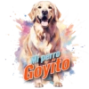 Goyito