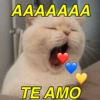 MANDA PRO SEU AMOR 💖 16