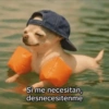 Si me necesitan, desnecesitenme