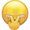 Emojis reacciones 2.0 17