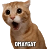 MEME KUCING 2 12