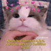 @Cats4mood Necesito vitaminas A,B,C. Abrazos, Besos y Cariñitos tuyos