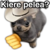💯😝 •ANIMALITOS Frases• 😝💯 14