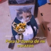 2000 mate @Cats4mood Notitas que cuidan tu relacion Para la dueña de mi corazón C