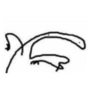 Flork 9