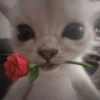 Gatitos de amor 💕🐱 15