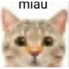 miau