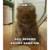 DIAM !!! @nnn AKU SEDANG ANGWY SAMA KM.