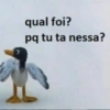 Melhores ironias 11